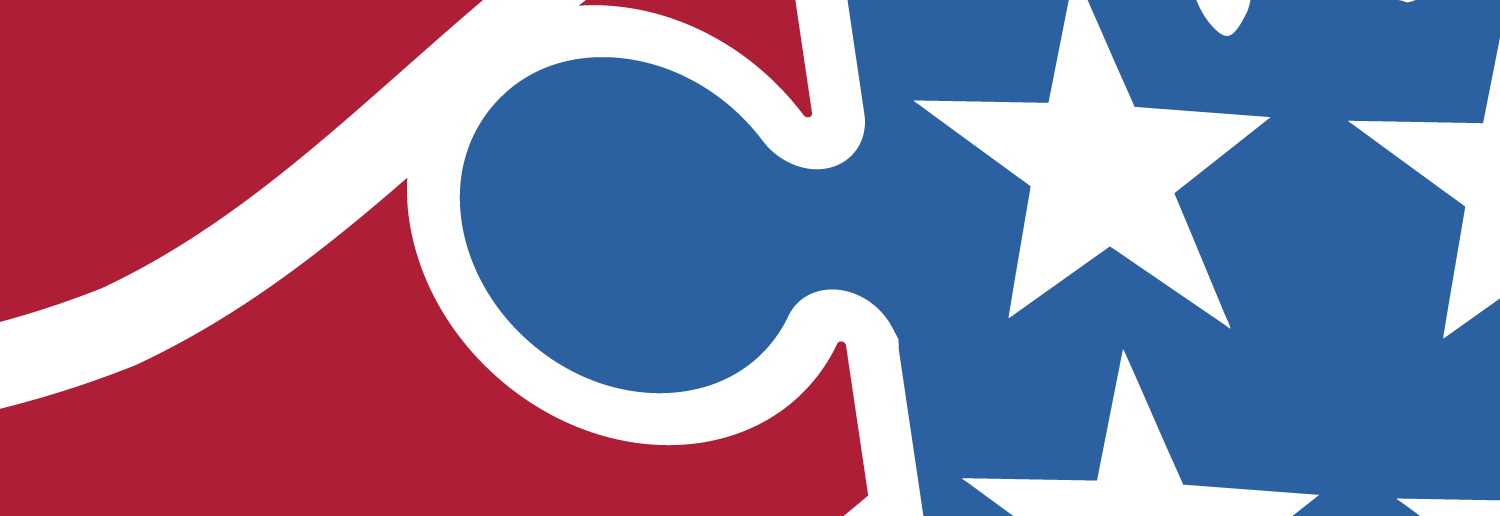 Stylized puzzle piece showing red and blue patriotic images coming together