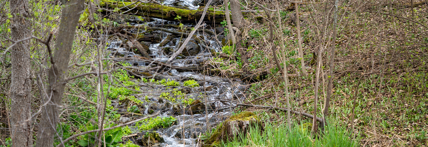 Escarpment