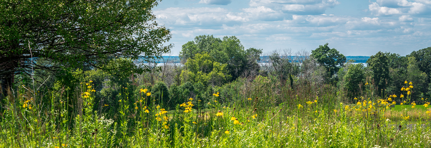 Prairie