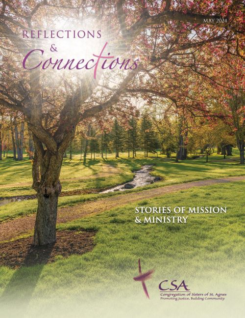 Cover of Reflections and Connections