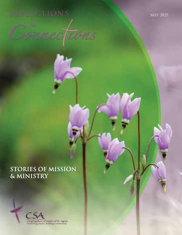 Cover of Reflections and Connections