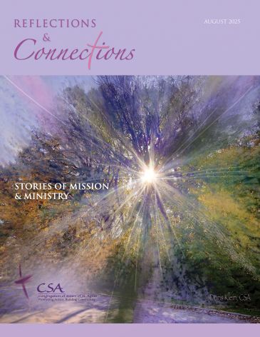 Cover of Reflections and Connections