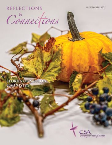 Cover of Reflections and Connections