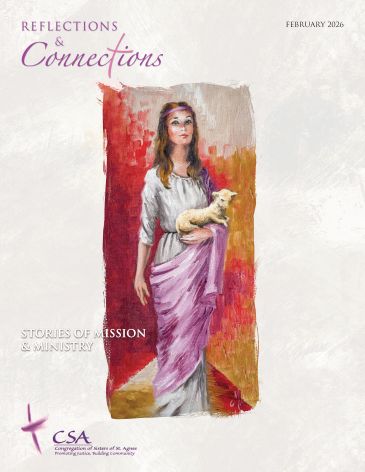 Cover of Reflections and Connections