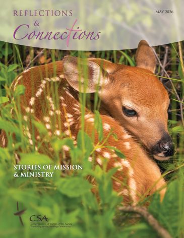 Cover of Reflections and Connections