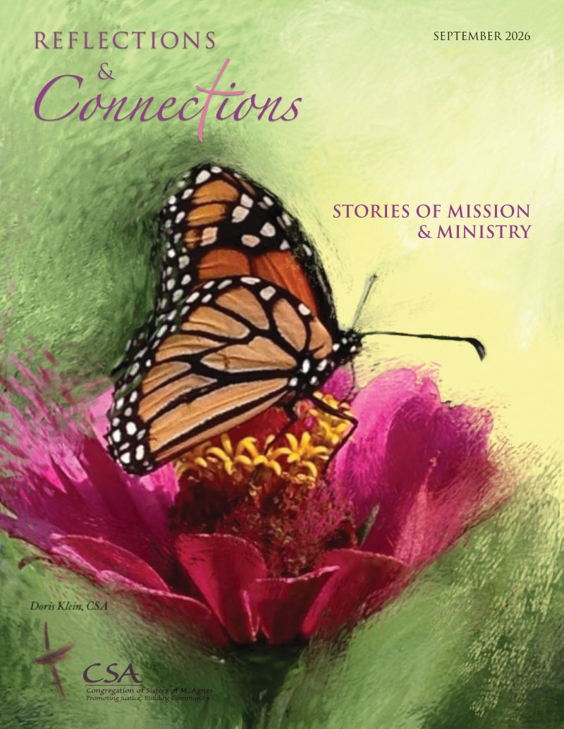 Cover of Reflections and Connections